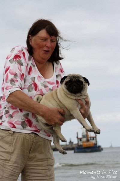 2010-06-26 Arc-en-ciel Arlequin (18).jpg